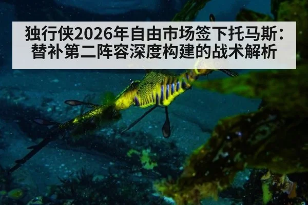 独行侠2026年自由市场签下托马斯：替补第二阵容深度构建的战术解析