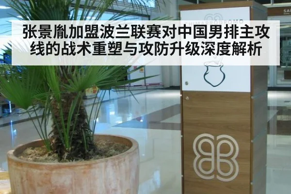 张景胤加盟波兰联赛对中国男排主攻线的战术重塑与攻防升级深度解析